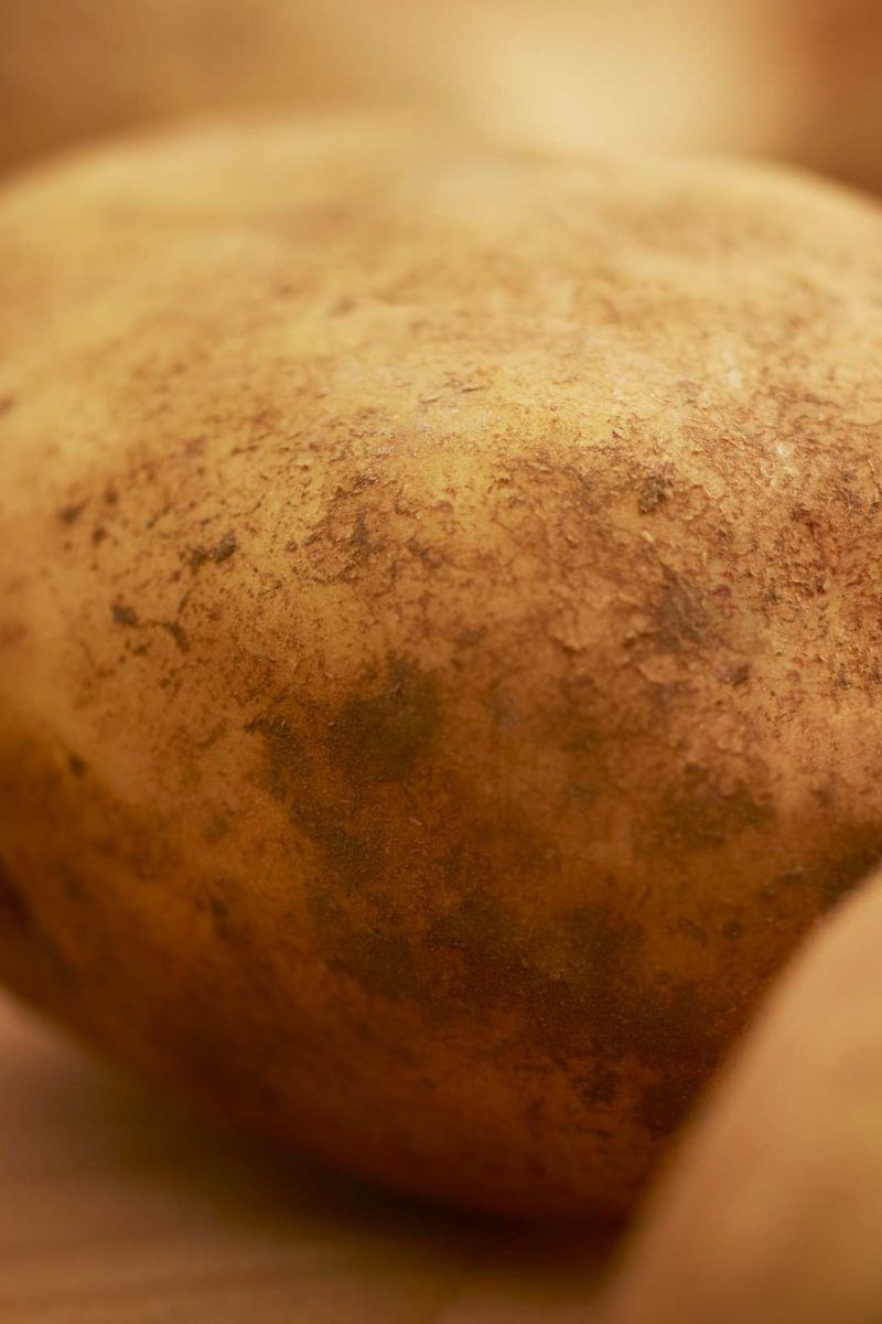 Potato allergy: Symptoms, causes, and what to avoid