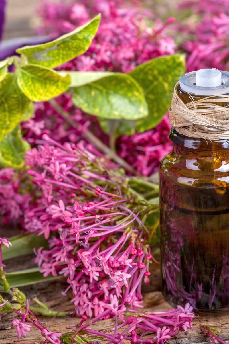 Benefits of clary sage essential oil hotsell