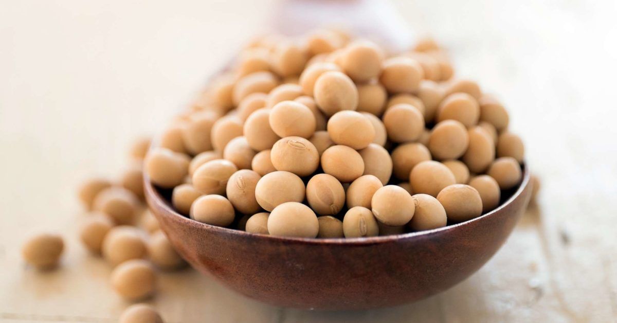 Soy Types benefits and nutrition