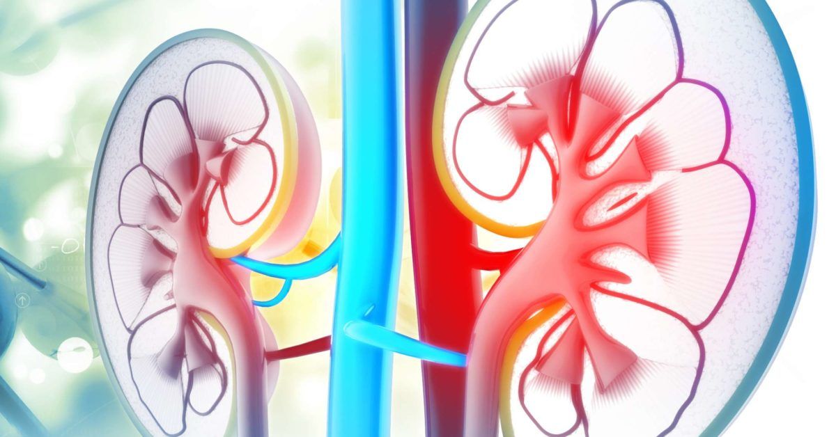 www.medicalnewstoday.com
