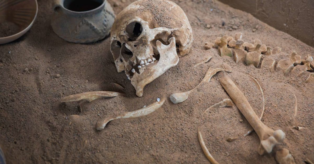 Medieval coffin birth: A modern medical mystery
