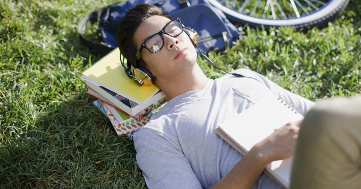 Quiet rest after learning helps us to remember the fine details