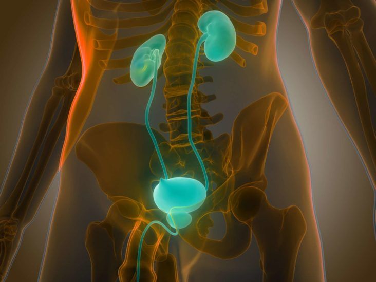 Urethra pain: Causes and when to see a doctor