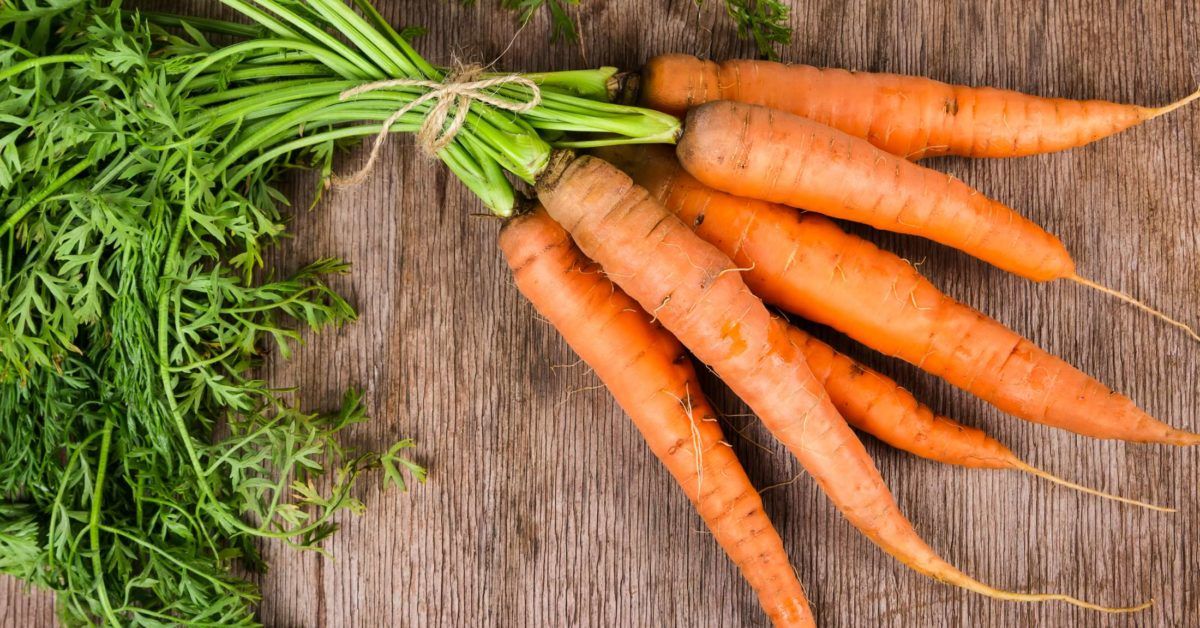 Carrot allergy Symptoms, diagnosis, and what to avoid