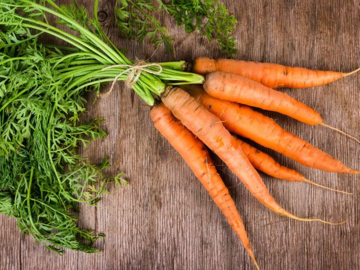 Dog allergic shop to carrots