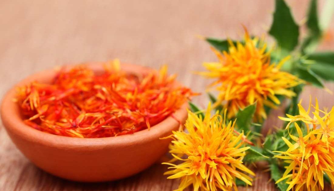 Safflower Oil for Skin: Benefits and Uses