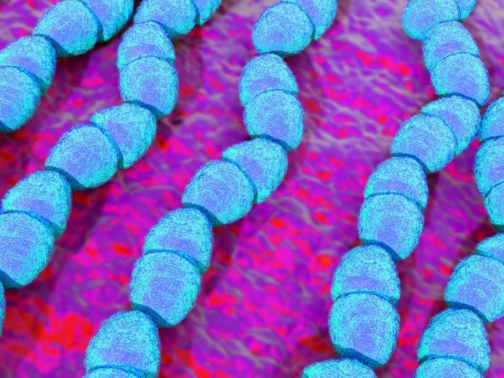 Extremely tough bacteria's resistance under the microscope