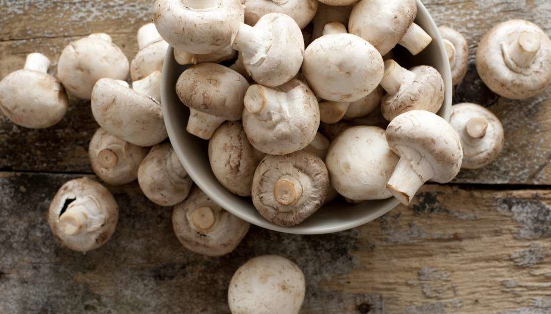 How eating mushrooms may improve blood sugar control
