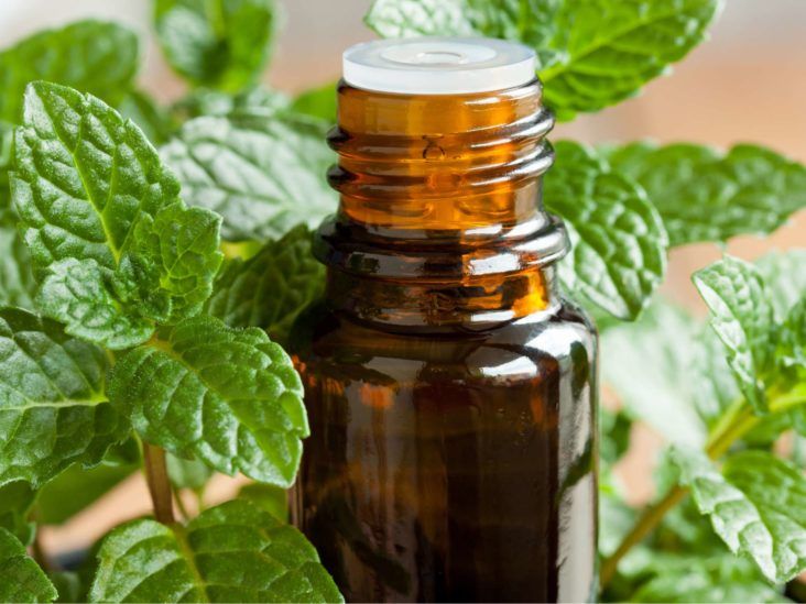 Essential oils for sinus congestion Best oils and how to use them