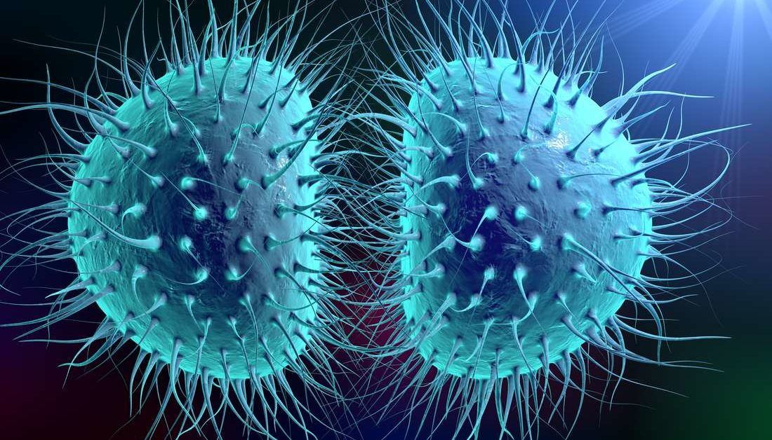 Bacterial meningitis Symptoms, causes, and treatment