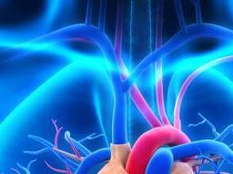 superior-vena-cava-syndrome-symptoms-treatment-and-outlook