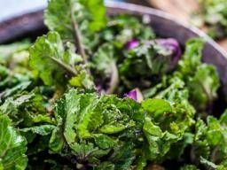 Kale: Uses, Benefits, Side effects By Dr. Smita Barode - PharmEasy