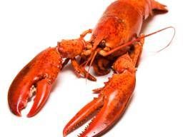 Lobster: Nutrition, benefits, and diet