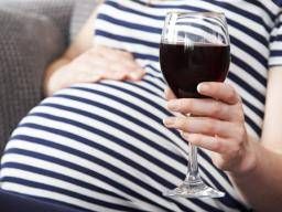 How much influence does alcohol have on female fertility?