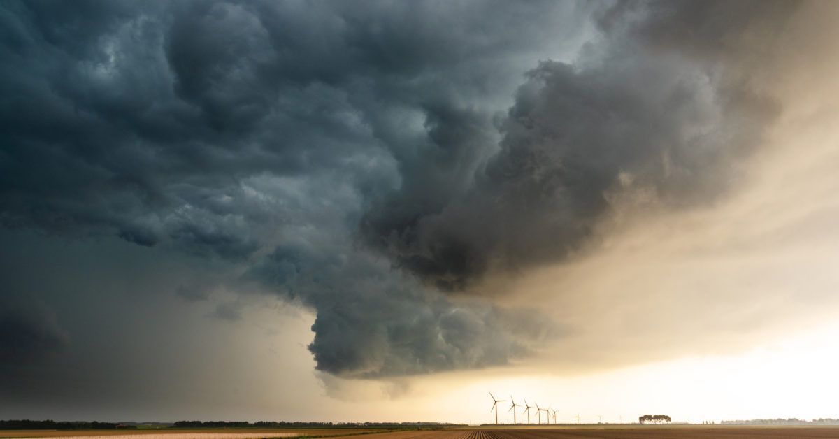 Microbiome may mediate link between climate change and new diseases