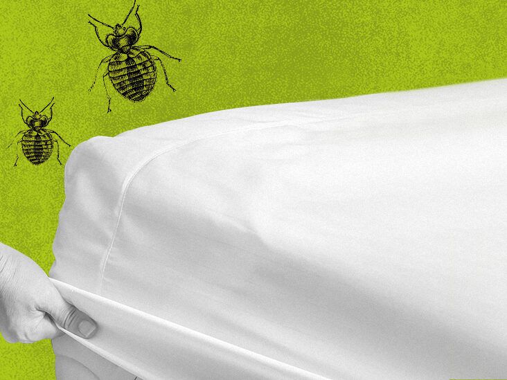 https://media.post.rvohealth.io/wp-content/uploads/sites/3/2020/10/434712-405729-Best-bed-bug-mattress-covers-How-do-they-work-732x549-Feature-732x549.jpg