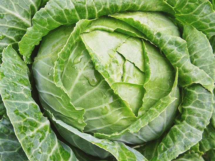 What is the cabbage soup diet, and how does it work?