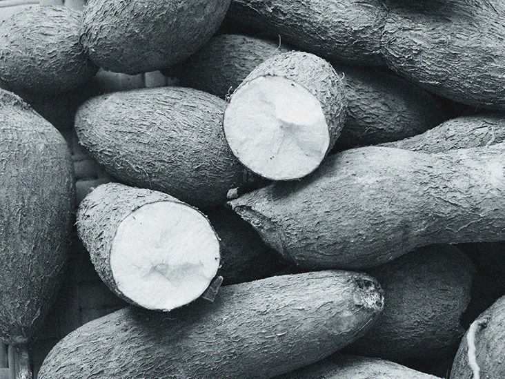 Cassava Benefits Toxicity And How To Prepare