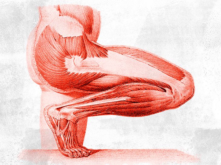 What is the anatomy of the lower leg?