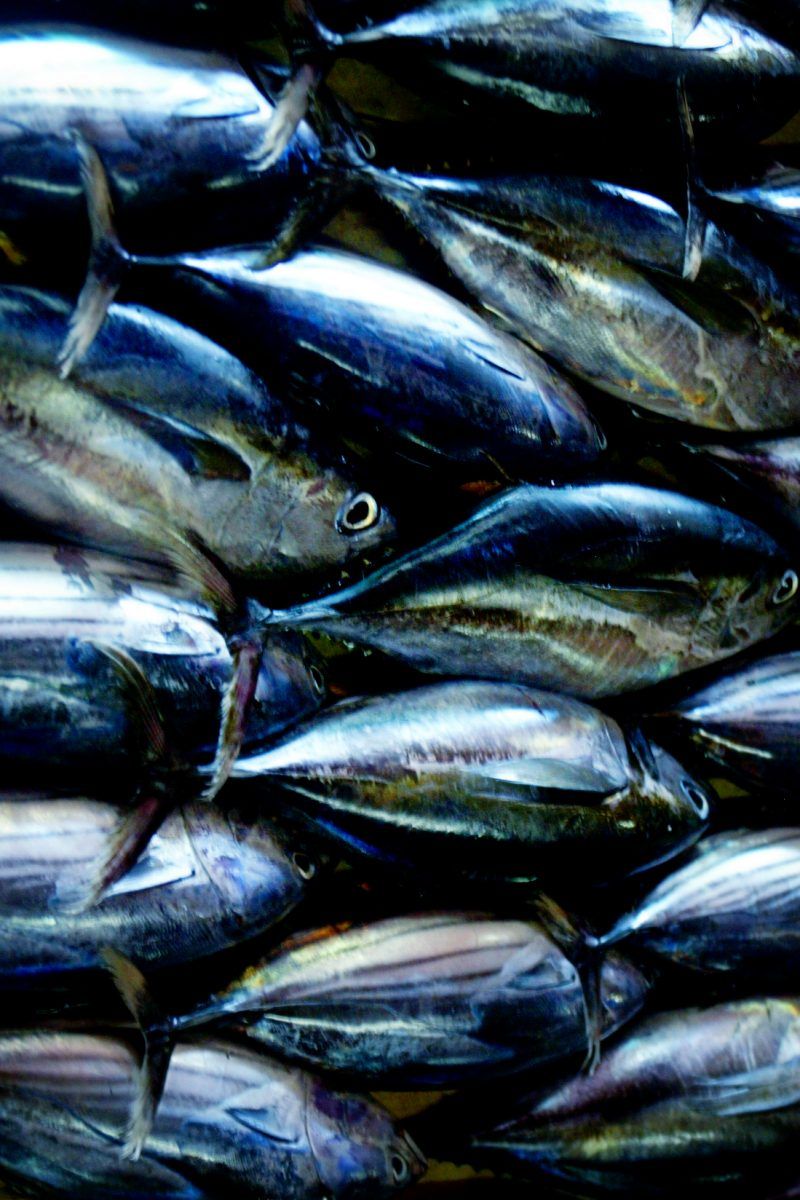 Selenium Health benefits, sources, and potential risks