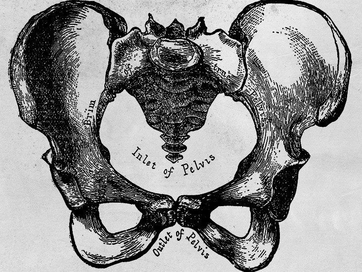 Symphysis Pubis Dysfunction (SPD) - RYC®