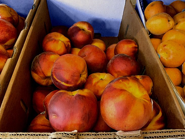 Peach  Fruit, Description, History, Cultivation, Uses, & Facts