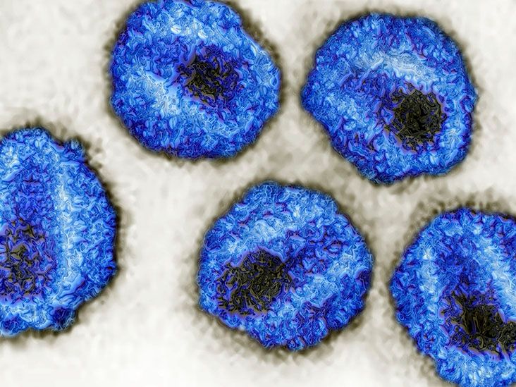 What is the HIV life cycle?