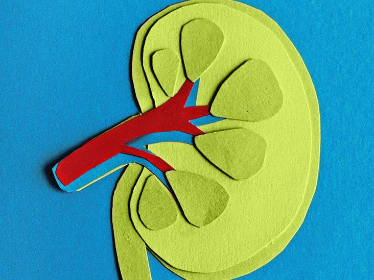 Chronic kidney disease: Symptoms, stage, treatment, and more