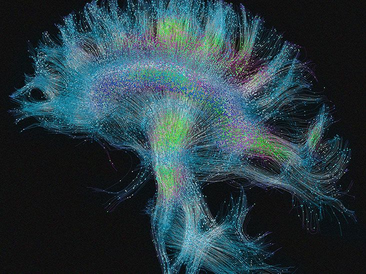 Who can get brain cancer? Risk factors, genetics, and more