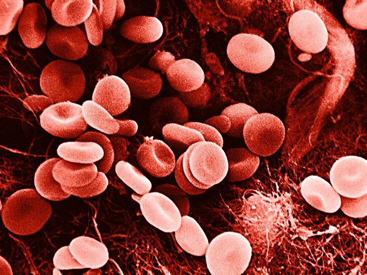 Functions of blood: clotting - NHS Blood Donation