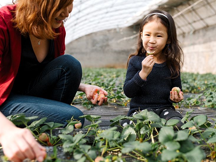 妊娠中に飲むと
