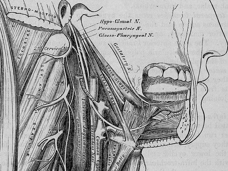 Sleep apnea implants: How they work, surgery, and risks