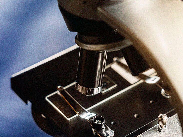 Liver biopsy results How long do they take?