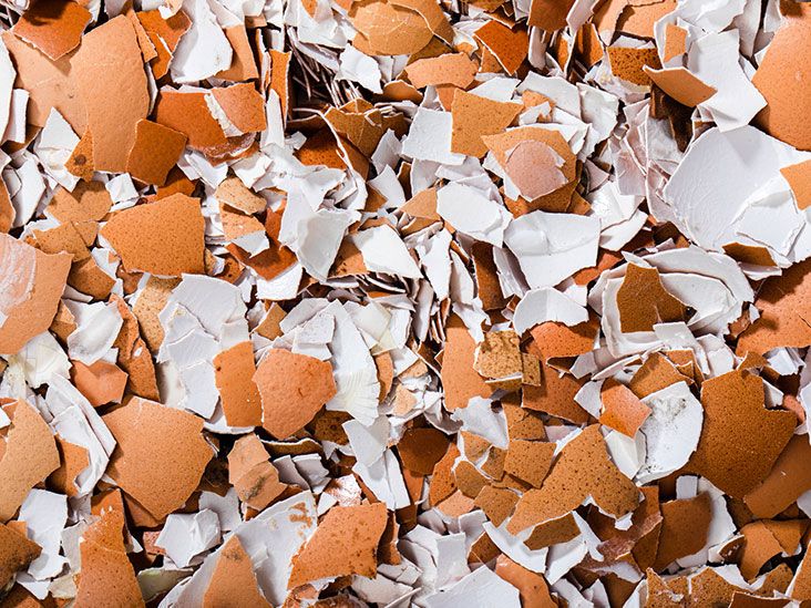 Egg allergy Symptoms, treatment, diet, vaccination safety