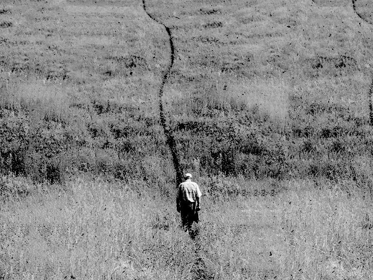 Hallucinations and dementia Causes and types