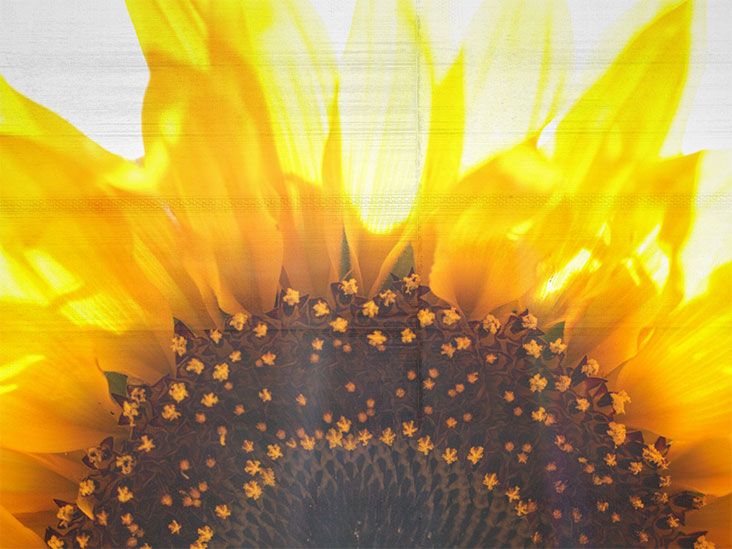 Sunflower oil for eczema Benefits, uses, and more