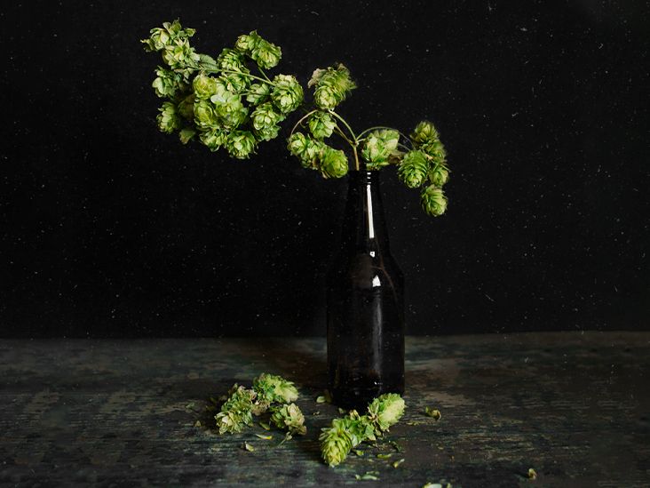 Might beer hop compounds help treat Alzheimer's?