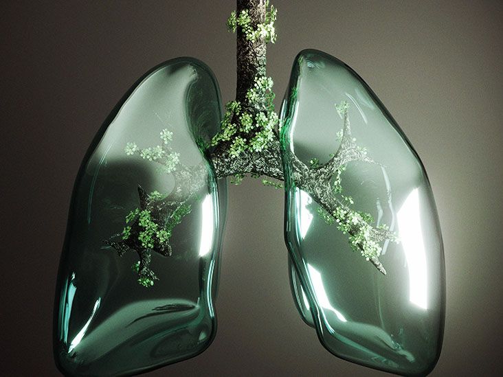 Comparing asthma, emphysema, and bronchitis