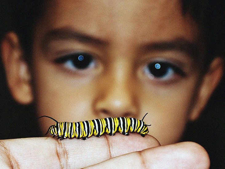 Caterpillar rash treatment Tips, prevention, and more