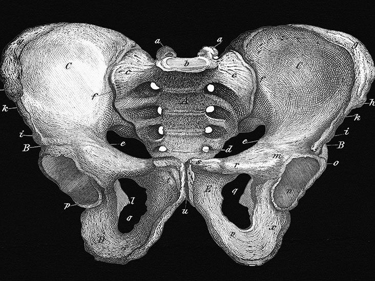Classification of Pelvic Ring Fractures: Mechanisms, Clinical Features and  Complications | Calgary Guide
