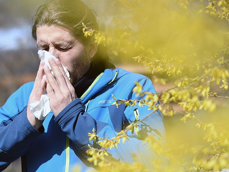 Can seasonal allergies trigger epilepsy? Causes, symptoms, and more