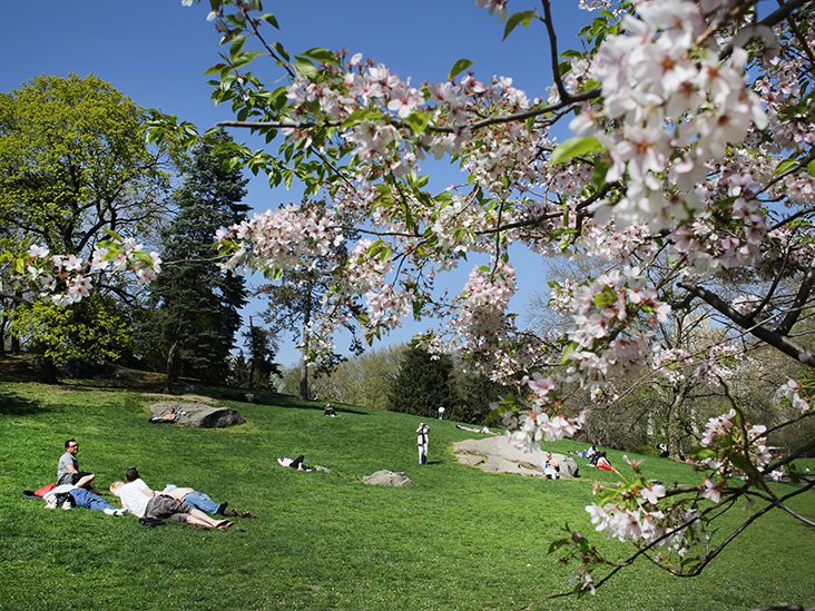 Can you develop seasonal allergies as an adult? What to know
