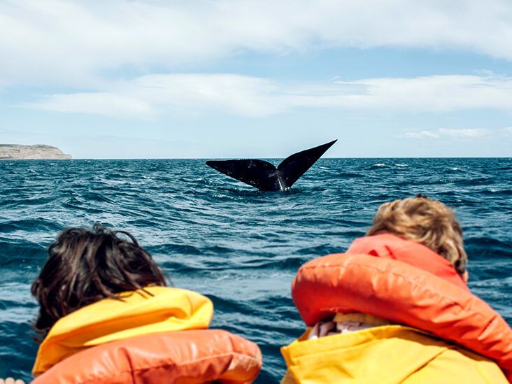 Tips for living with macular degeneration