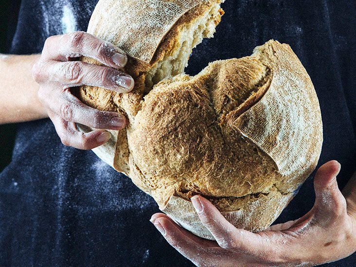 Food Hygiene: 3 Myths about Yeast and Mold You Probably Believe
