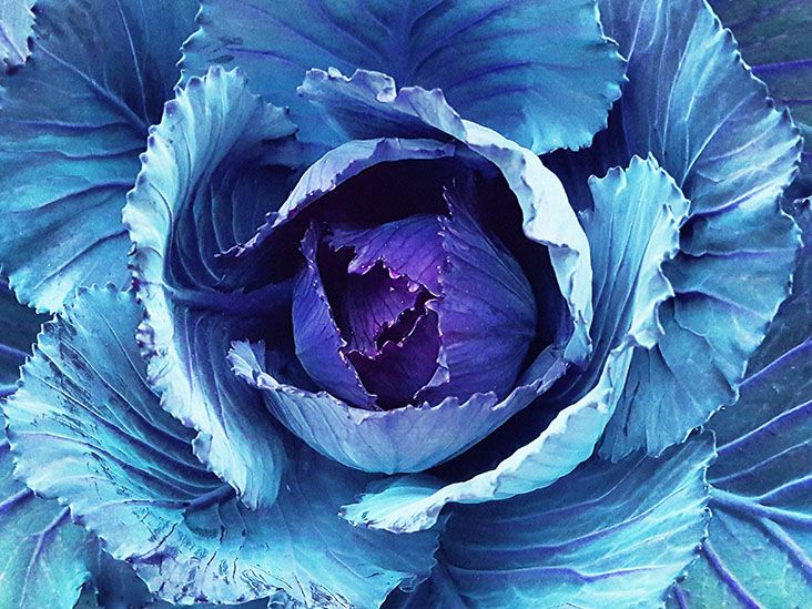 Blue poop Causes, treatments, and more