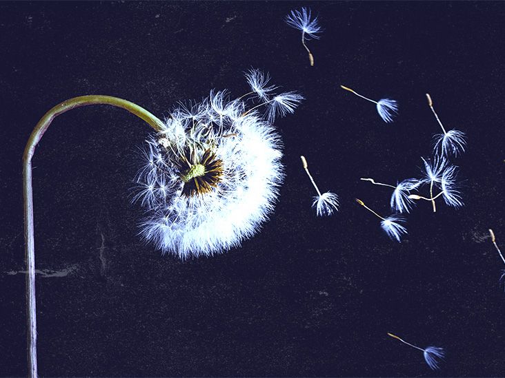 Spring allergies Causes, management, and home remedies