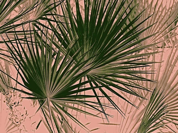 Saw palmetto Uses dosage and side effects