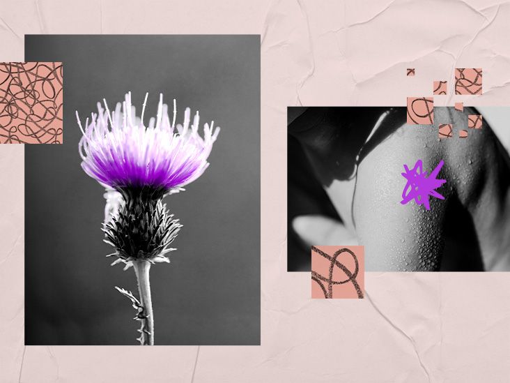 Milk thistle eczema treatment Does it work?