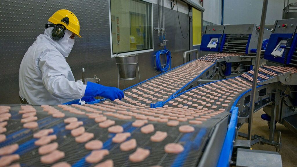 Un lavoratore controlla le crocchette di pollo su un nastro trasportatore in una fabbrica di trasformazione alimentare