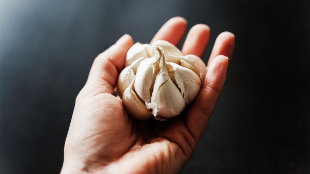 A person holding garlic-1.